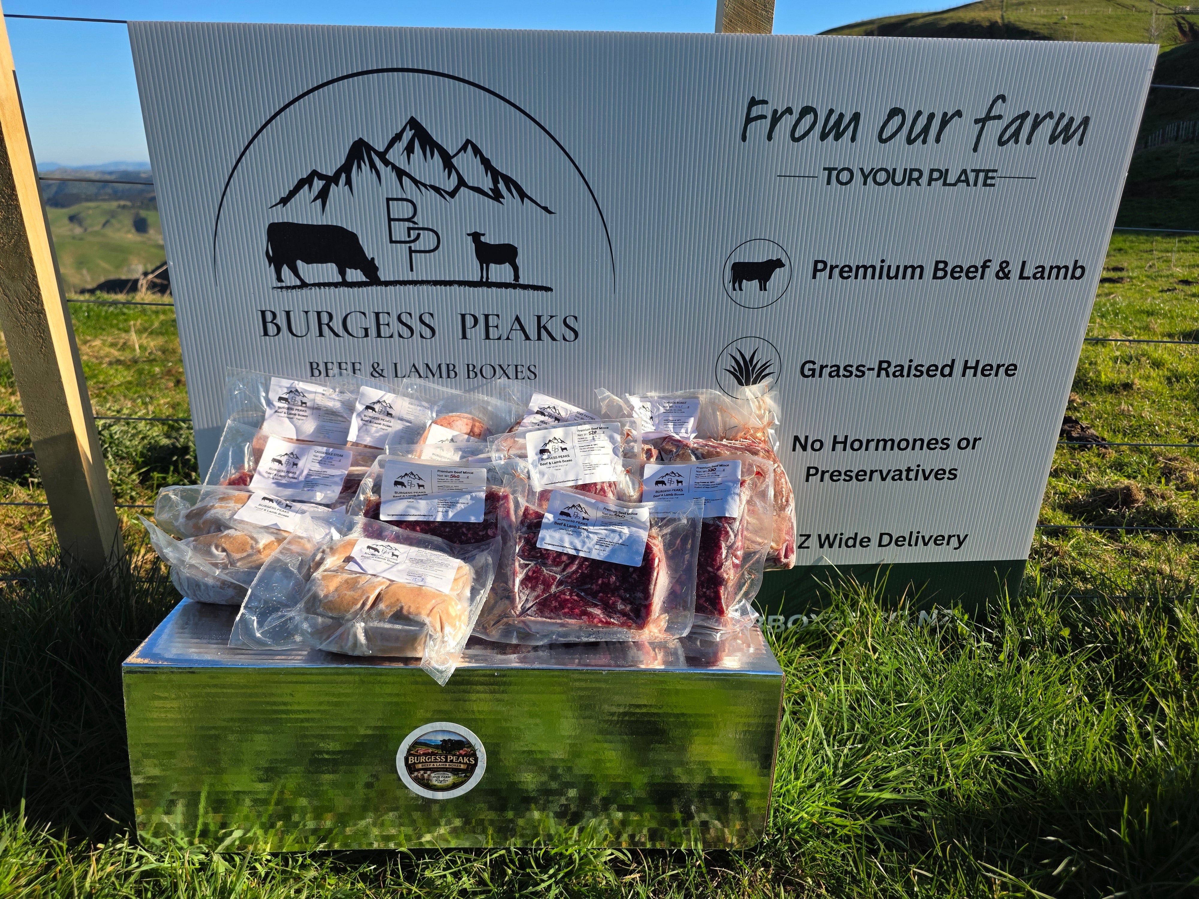Choosing the Right Meat Box for Your Family